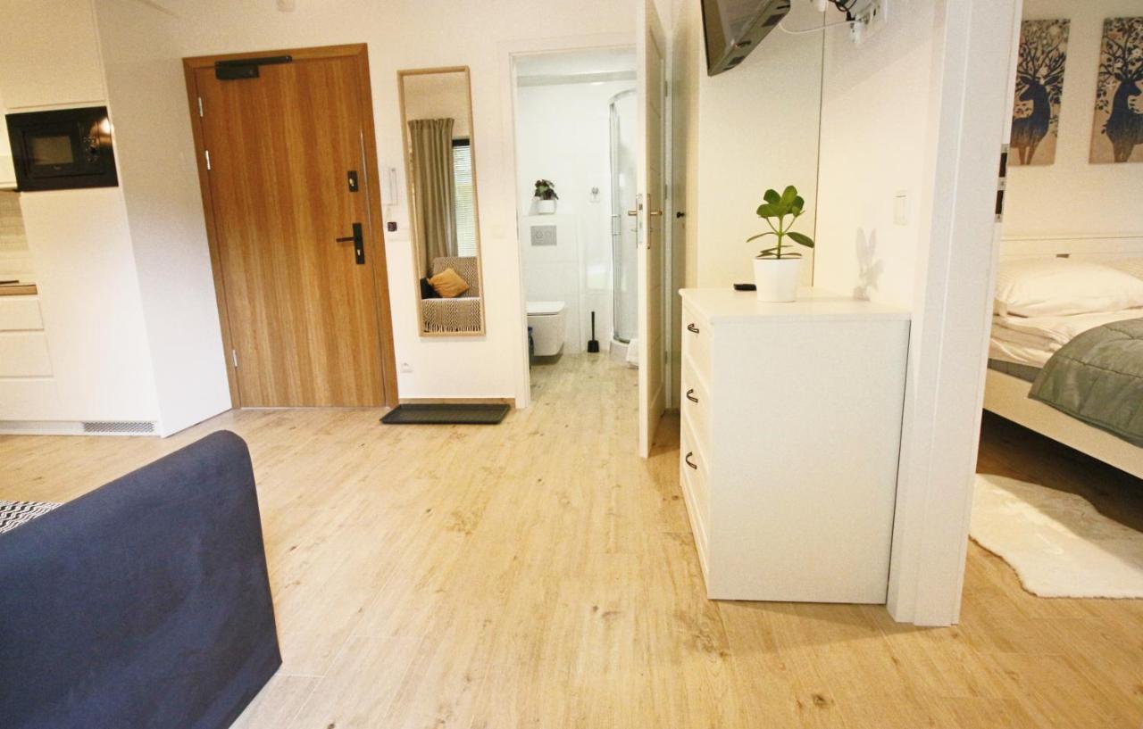 Apartment Bazatatry Kozica Zakopane Ngoại thất bức ảnh